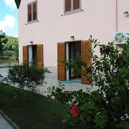 Arenosu25 3*
