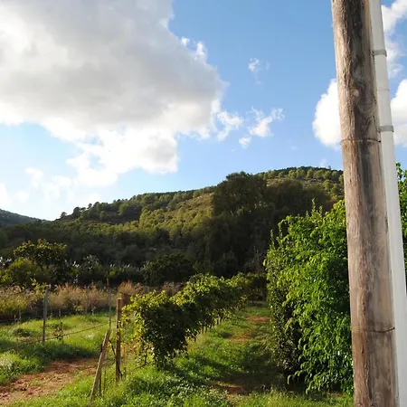 Bed & Breakfast Arenosu25