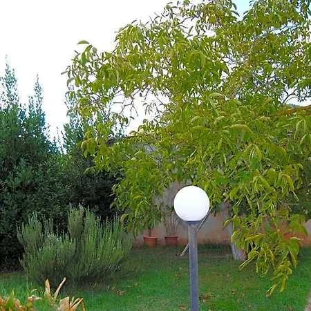 Arenosu25 Alghero