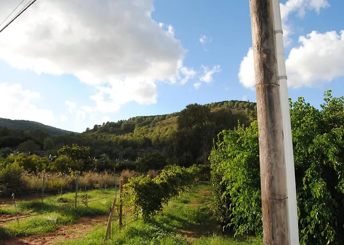 ベッド・アンド・ブレックファスト Arenosu25